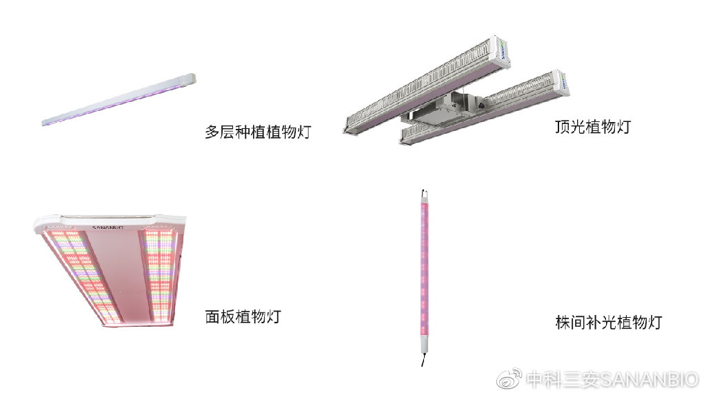 植物工廠燈具類型